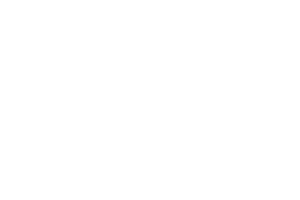 icon_11.png.png