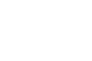 icon_12.png.png